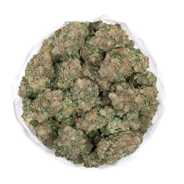 Pink Grapefruit