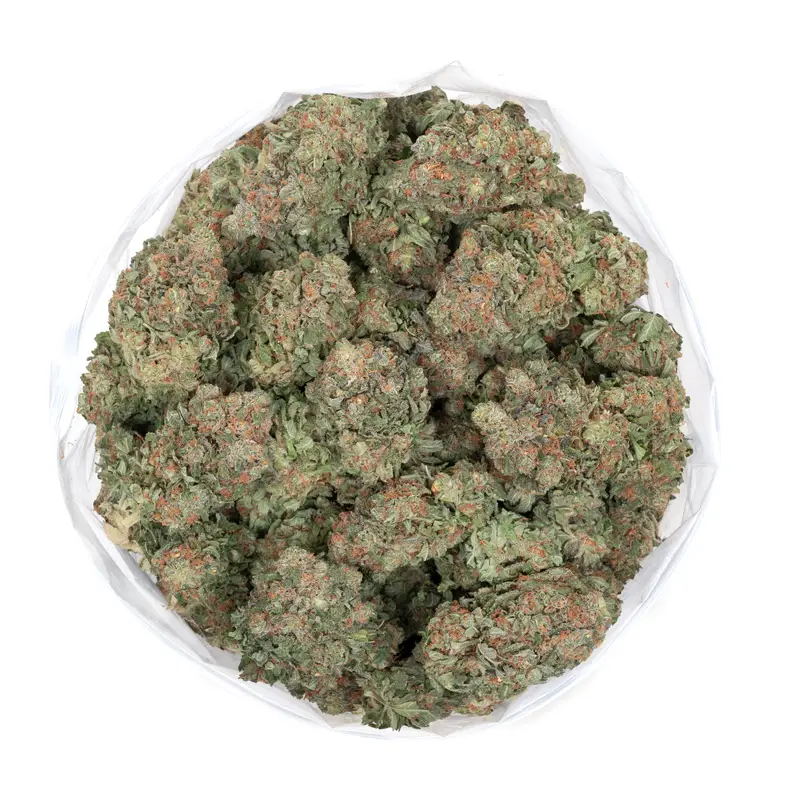 Pink Grapefruit